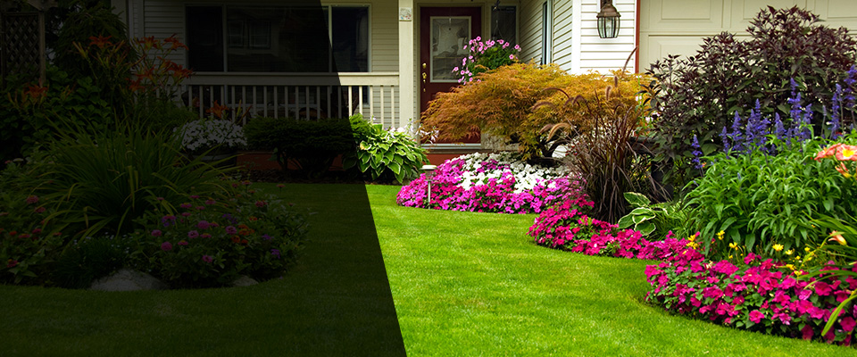Wise Landscapers